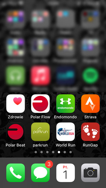 iPhone Screen Polar Flow Endomondo Strava Polar Beat parkrun World Run RunGap