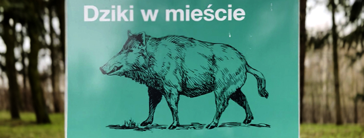 Pierwszy w nowym roku parkrun Poznań #641